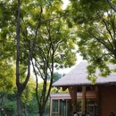 南苑森林湿地公园 - 北京市旅游 缩略图 5