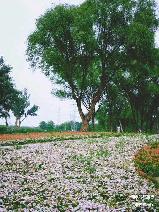 南苑森林湿地公园 - 北京市旅游