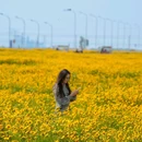 江浙沪欣缘苗木 - 宿迁市旅游 缩略图 5