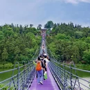 南京高淳国际慢城 - 南京市旅游 缩略图 9