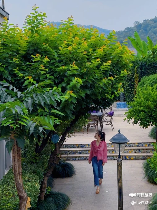茶香丽舍旅居民宿(西湖风景名胜区花港观鱼店) - 杭州市旅游