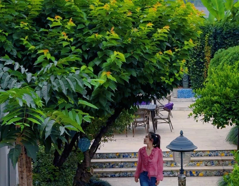 茶香丽舍旅居民宿(西湖风景名胜区花港观鱼店) - 杭州市旅游 1