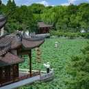 上海大观园 - 上海市旅游 缩略图 5