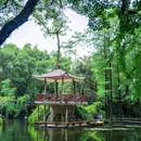 腊圃公园 - 广州市旅游 缩略图 3