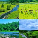 阿尔山乌苏浪子湖渔村宾馆 - 兴安盟旅游 缩略图 6