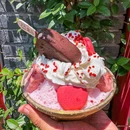 洞子老火锅(十八梯店) - 重庆市旅游 缩略图 4