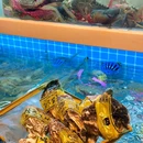 探鲟夜档 - 苏州旅游 缩略图 9