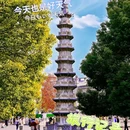 香积寺 - 西安市旅游 缩略图 3