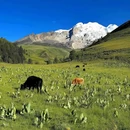 格聂别院 - 甘孜藏族自治州旅游 缩略图 3