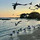 SOFTREE(大连琥珀湾店) - 大连市旅游 缩略图 5