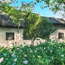 乌镇古镇旅游区 - 嘉兴市旅游 缩略图 9