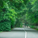 大夫山森林公园-南门 - 广州市旅游 缩略图 5