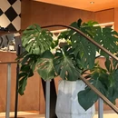 大宁国际商业广场 - 上海市旅游 缩略图 3