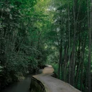 石舍村 - 绍兴市旅游 缩略图 5