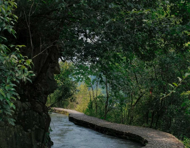 石舍村 - 绍兴市旅游 1