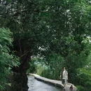 石舍村 - 绍兴市旅游 缩略图 4