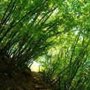 密云天门山风景区 - 北京市旅游 缩略图 9