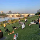 北京城市图书馆-北1门 - 北京市旅游 缩略图 3