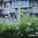 世纪百合商业广场 - 成都市旅游 缩略图 3