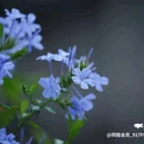 世纪百合商业广场 - 成都市旅游 缩略图 5