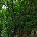 云龙涧自然风景区 - 北京市旅游 缩略图 9
