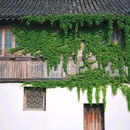 乌镇西栅景区 - 嘉兴市旅游 缩略图 8
