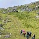 北阳山马勇饭庄 - 商洛市旅游 缩略图 3