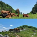 北阳山马勇饭庄 - 商洛市旅游 缩略图 7