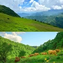 陕西紫柏山国家森林公园 - 汉中市旅游 缩略图 4