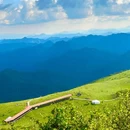 陕西紫柏山国家森林公园 - 汉中市旅游 缩略图 5