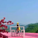 本溪大峡谷 - 本溪市旅游 缩略图 1