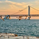星海广场 - 大连市旅游 缩略图 3