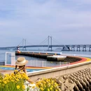 星海广场 - 大连市旅游 缩略图 5