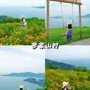 雾城观景平台 - 温州市旅游 缩略图 8