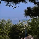 大连森林动物园-南2门 - 大连市旅游 缩略图 3