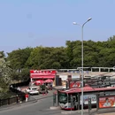 大连森林动物园-南2门 - 大连市旅游 缩略图 8