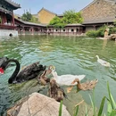 清照泉城·明水古城国际泉水旅游度假区 - 济南市旅游 缩略图 4