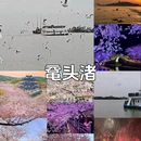 无锡梅里古镇泰伯大道亚朵酒店 - 无锡市旅游 缩略图 6