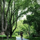 姚江公园 - 宁波市旅游 缩略图 2