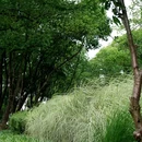 姚江公园 - 宁波市旅游 缩略图 9