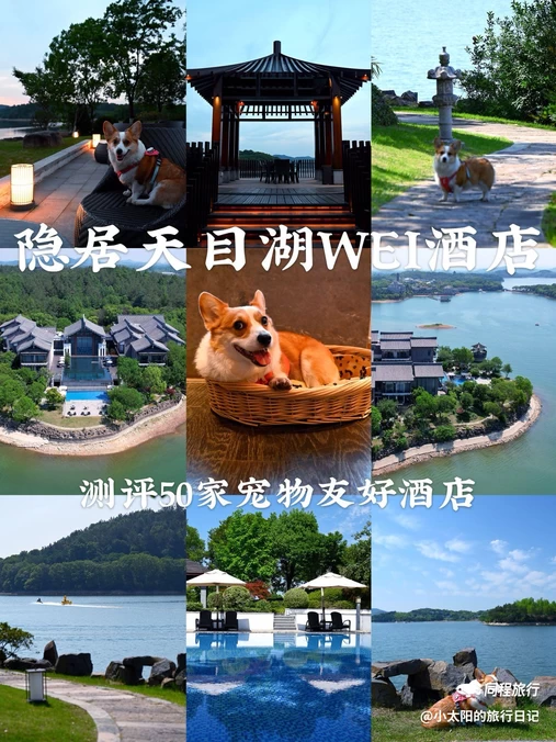 隐居天目湖WEI酒店 - 常州市旅游