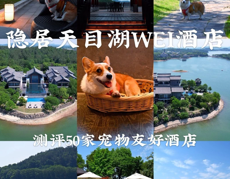 隐居天目湖WEI酒店 - 常州市旅游 1