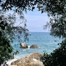 玫瑰海岸 - 深圳市旅游 缩略图 7