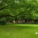 华东政法大学(长宁校区) - 上海市旅游 缩略图 3