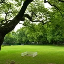 华东政法大学(长宁校区) - 上海市旅游 缩略图 8