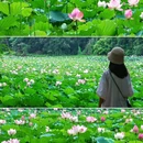 晴云湖 - 广州市旅游 缩略图 1