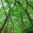 晴云湖 - 广州市旅游 缩略图 6