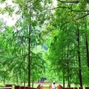 晴云湖 - 广州市旅游 缩略图 7