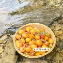 南昆山大观园生态度假区 - 惠州市旅游 缩略图 3