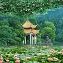 瑶海公园 - 合肥市旅游 缩略图 1